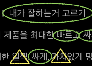 린,애자일 방식으로 3주만에 아이폰앱을 기획,개발,출시한 창업 스토리 강연